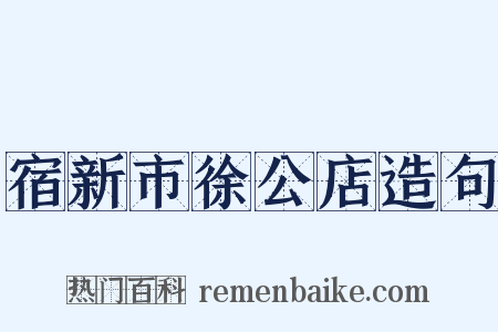 宿新市徐公店造句是什么意思的图片